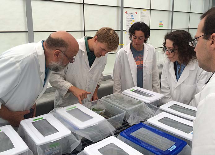 Description for Image 1